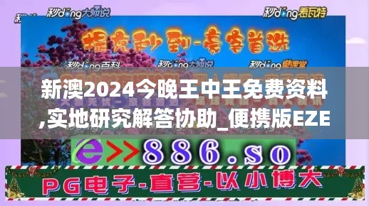 新澳2024今晚王中王免费资料,实地研究解答协助_便携版EZE19.63