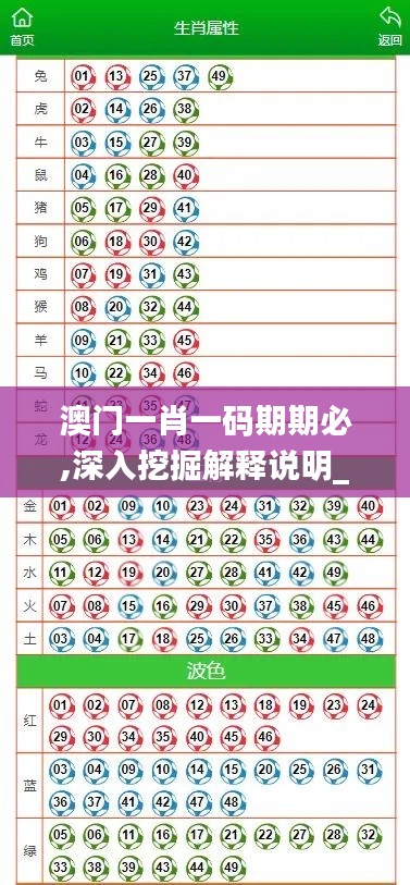 澳门一肖一码期期必,深入挖掘解释说明_优雅版LDS10.67