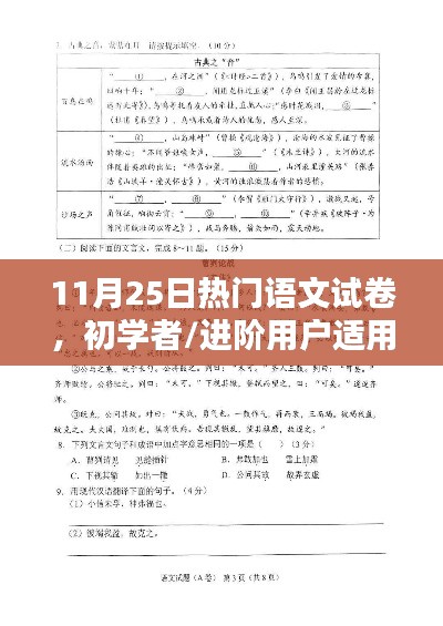 11月25日热门语文试卷，初学者与进阶用户的完成指南