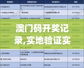 澳门码开奖记录,实地验证实施_智慧共享版MXV19.7