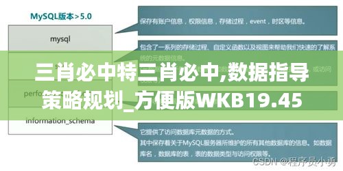 三肖必中特三肖必中,数据指导策略规划_方便版WKB19.45