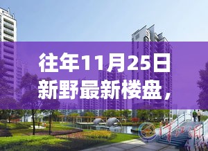 往年11月25日新野最新楼盘深度解析与全方位解读