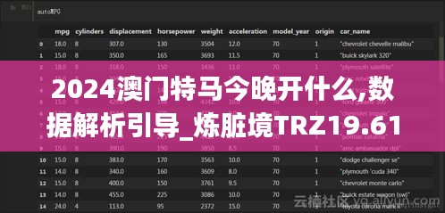 2024澳门特马今晚开什么,数据解析引导_炼脏境TRZ19.61