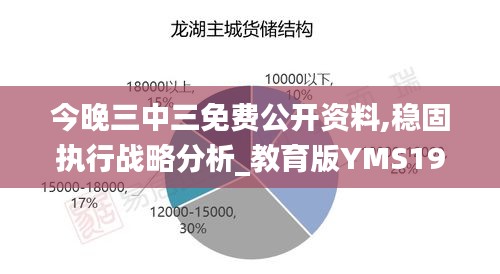 今晚三中三免费公开资料,稳固执行战略分析_教育版YMS19.21