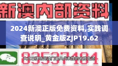 2024新澳正版免费资料,实践调查说明_黄金版ZJP19.62