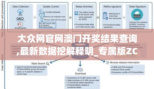 大众网官网澳门开奖结果查询,最新数据挖解释明_专属版ZCF19.45