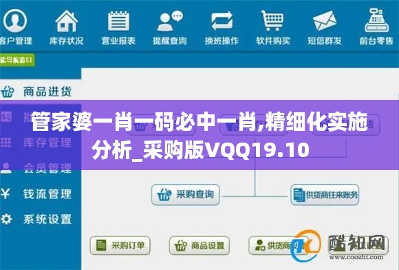 管家婆一肖一码必中一肖,精细化实施分析_采购版VQQ19.10