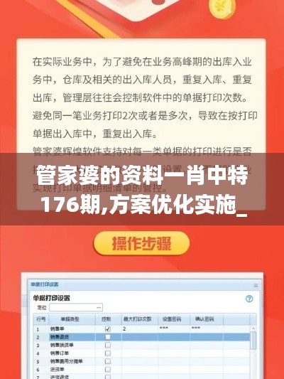 管家婆的资料一肖中特176期,方案优化实施_高速版MGD19.39