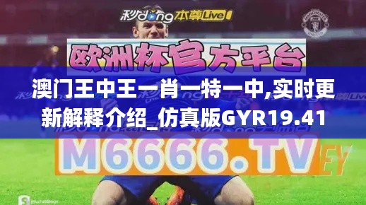 澳门王中王一肖一特一中,实时更新解释介绍_仿真版GYR19.41