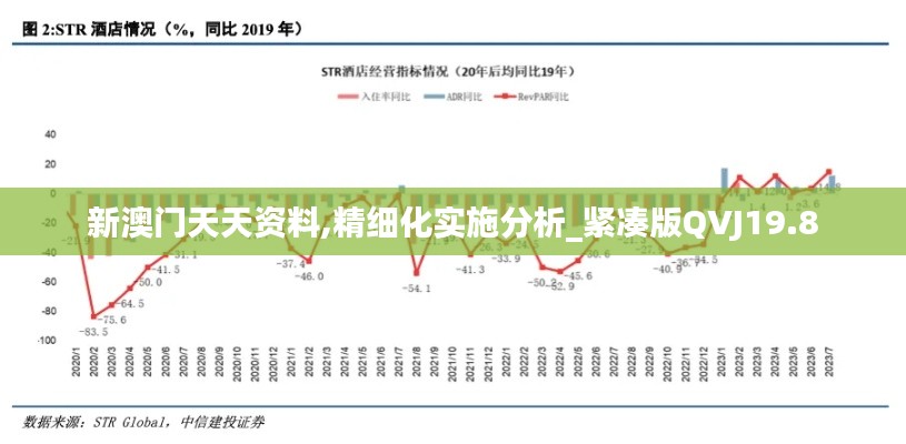 新澳门天天资料,精细化实施分析_紧凑版QVJ19.8