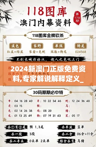 2024新澳门正版免费资料,专家解说解释定义_黄金版ZUO19.36