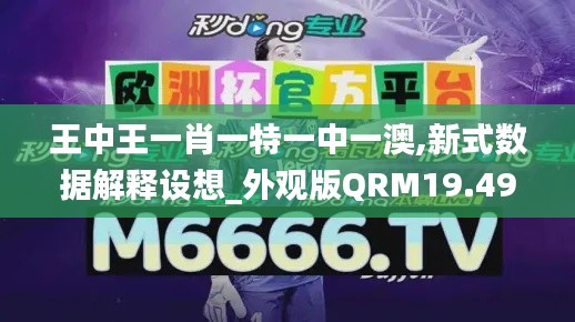 王中王一肖一特一中一澳,新式数据解释设想_外观版QRM19.49