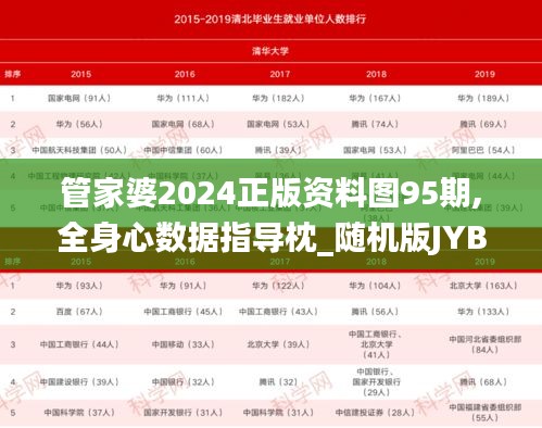 管家婆2024正版资料图95期,全身心数据指导枕_随机版JYB19.15