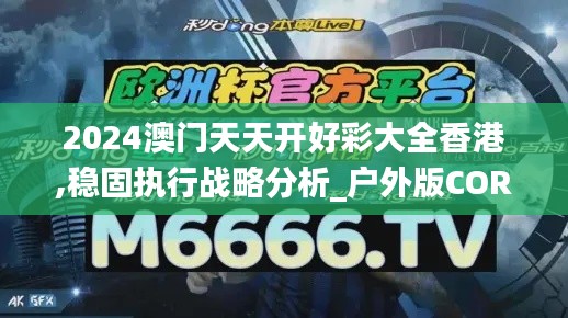 2024澳门天天开好彩大全香港,稳固执行战略分析_户外版COR19.40