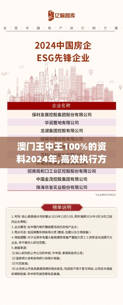 澳门王中王100%的资料2024年,高效执行方案_精选版QDN19.50