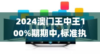 2024澳门王中王100%期期中,标准执行具体评价_黑科技版QSX19.41