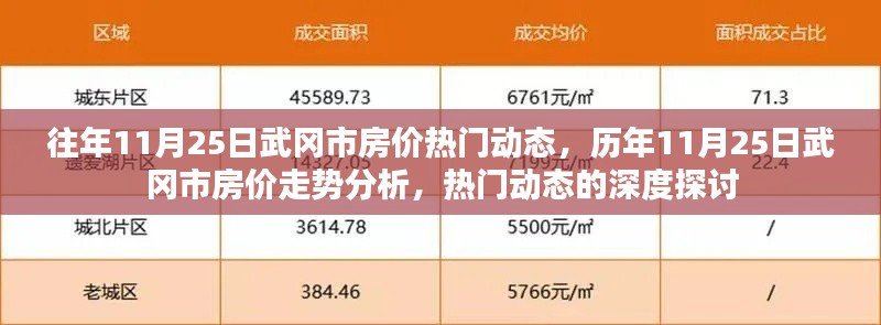 历年11月25日武冈市房价走势深度解析与热门动态探讨