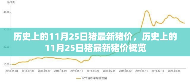 历史上的11月25日猪价概览，最新猪价信息一览表