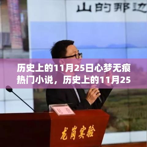 历史上的11月25日，心梦无痕热门小说的背后故事