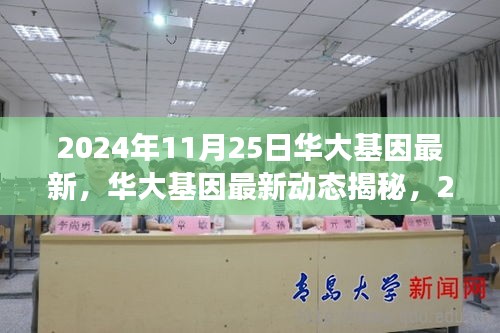 华大基因最新动态揭秘，科技前沿进展在基因领域的突破（2024年11月25日）