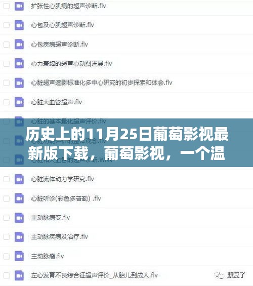 葡萄影视，温馨下载日的回忆与未来的启程——历史上的11月25日葡萄影视最新版下载回顾
