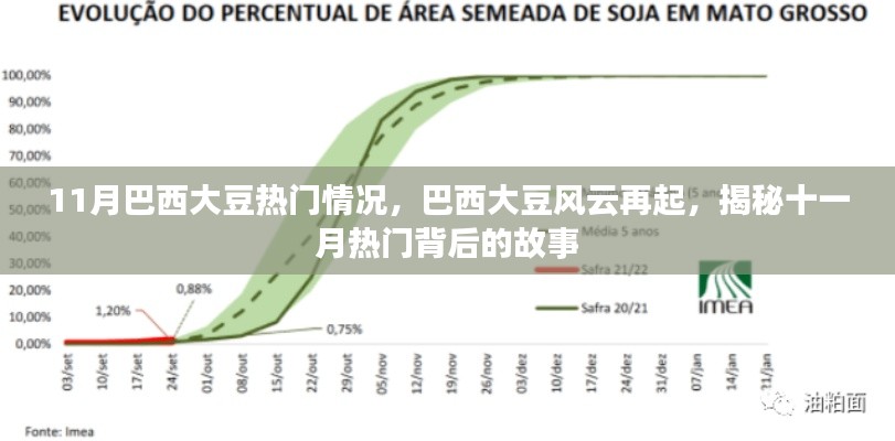 揭秘十一月巴西大豆风云再起背后的故事