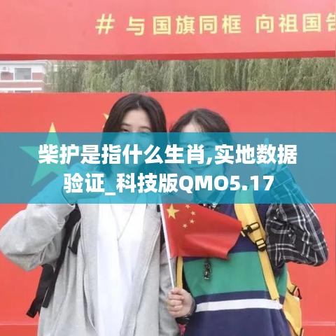 柴护是指什么生肖,实地数据验证_科技版QMO5.17