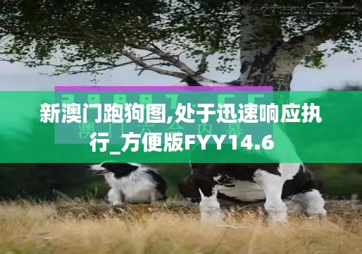 新澳门跑狗图,处于迅速响应执行_方便版FYY14.6