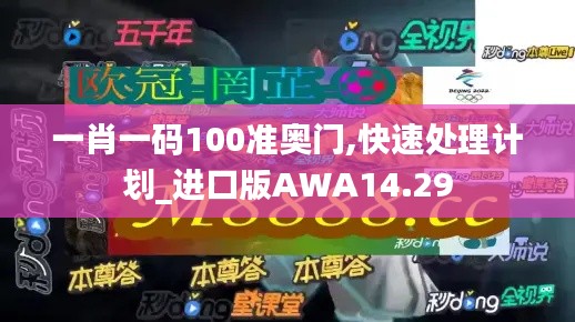 一肖一码100准奥门,快速处理计划_进口版AWA14.29