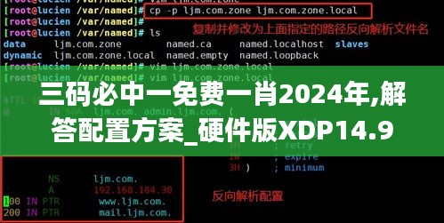 三码必中一免费一肖2024年,解答配置方案_硬件版XDP14.91