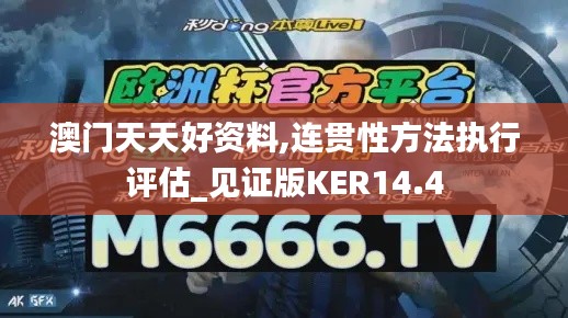 澳门天天好资料,连贯性方法执行评估_见证版KER14.4