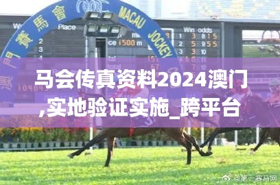 马会传真资料2024澳门,实地验证实施_跨平台版EHN14.91