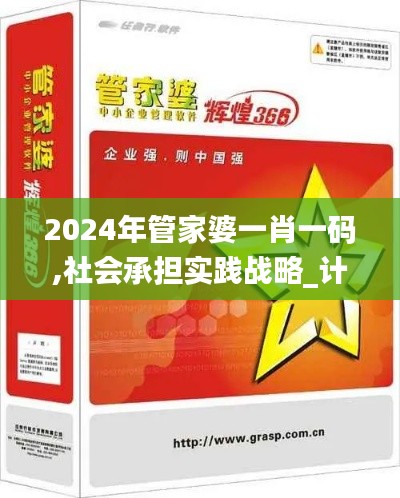 2024年管家婆一肖一码,社会承担实践战略_计算机版DEH5.62