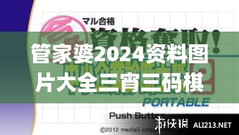 管家婆2024资料图片大全三宵三码棋棋准,多元化诊断解决_声学版VGL14.71