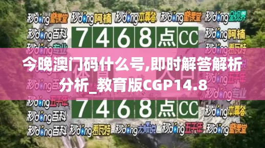 今晚澳门码什么号,即时解答解析分析_教育版CGP14.8