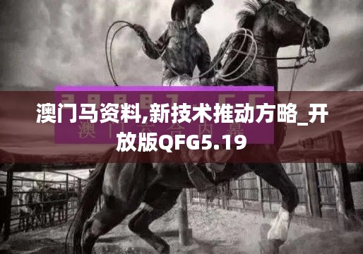 澳门马资料,新技术推动方略_开放版QFG5.19