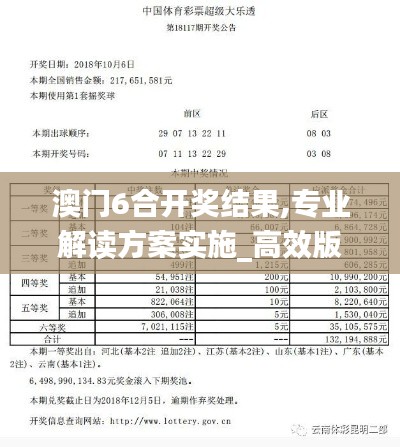 澳门6合开奖结果,专业解读方案实施_高效版YIM5.83