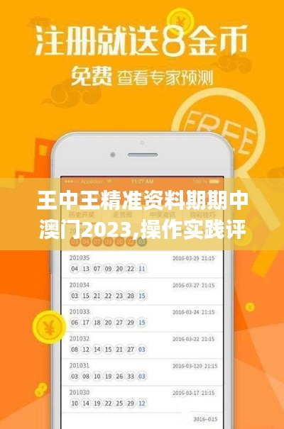 王中王精准资料期期中澳门2023,操作实践评估_幽雅版USK14.52