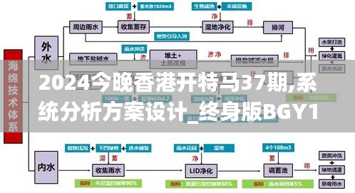 2024今晚香港开特马37期,系统分析方案设计_终身版BGY14.11