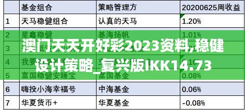 澳门天天开好彩2023资料,稳健设计策略_复兴版IKK14.73