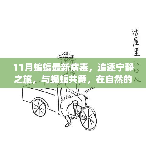 11月蝙蝠病毒下的自然之旅，与蝙蝠共舞，追寻内心宁静