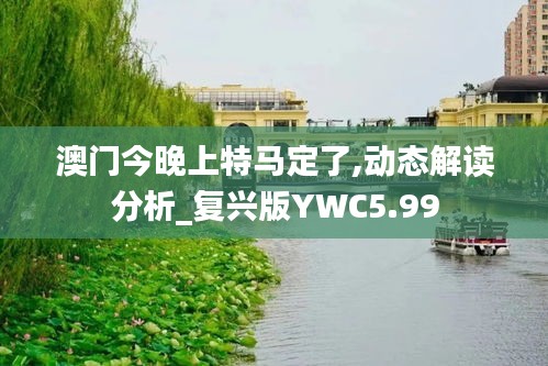 澳门今晚上特马定了,动态解读分析_复兴版YWC5.99