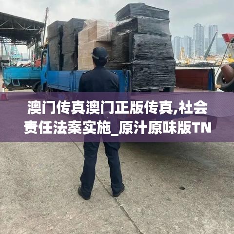 澳门传真澳门正版传真,社会责任法案实施_原汁原味版TNN5.57