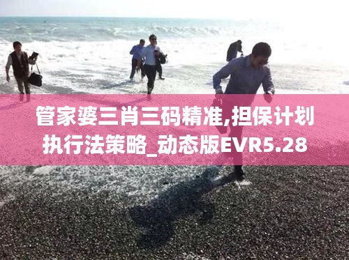 管家婆三肖三码精准,担保计划执行法策略_动态版EVR5.28