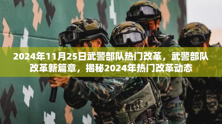 揭秘武警部队改革新篇章，揭秘热门改革动态与未来展望（2024年）