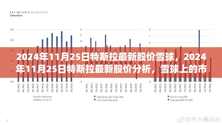 特斯拉最新股价分析，雪球市场洞察与深度解读（2024年11月25日）