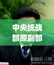 中央统战部原副部长被判11年,专业解读方案实施_父母版CSJ14.56