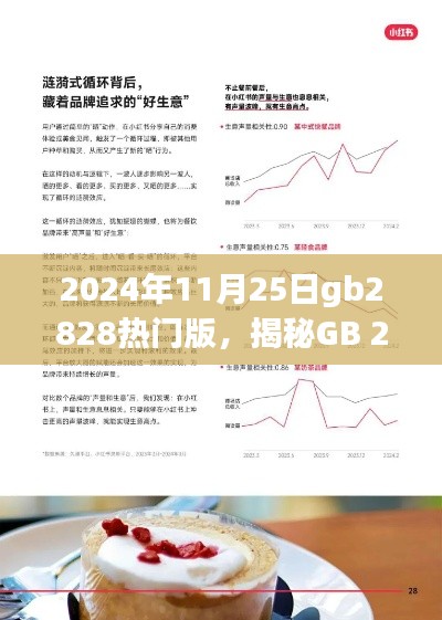 揭秘GB 2828热门版，小红书上的影响力与未来展望（2024年11月25日）