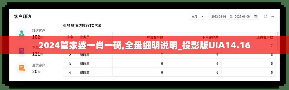 2024管家婆一肖一码,全盘细明说明_投影版UIA14.16