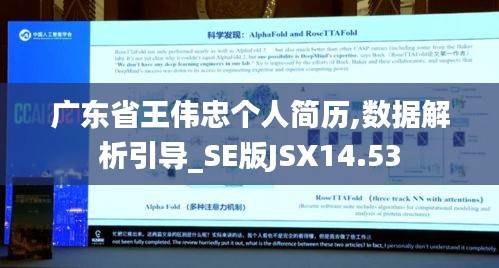 广东省王伟忠个人简历,数据解析引导_SE版JSX14.53